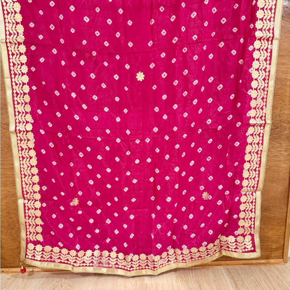 Elegant Pink and Gold Duppatta